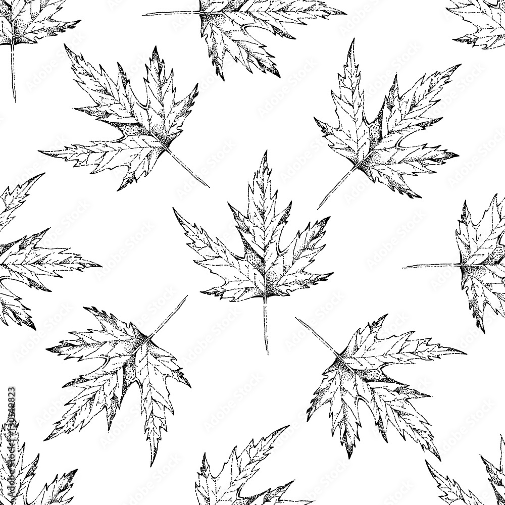 Obraz premium Maple leaves seamless pattern