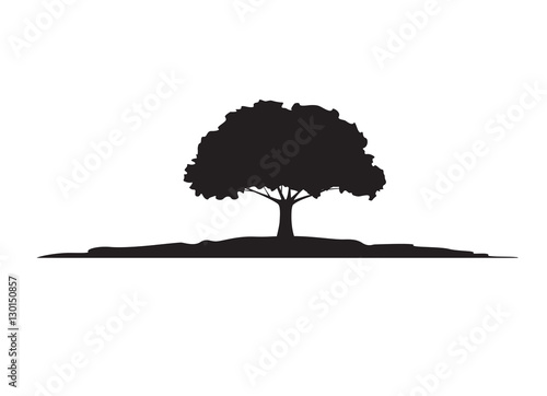 Green Tree and Roots. Vector Illustration.