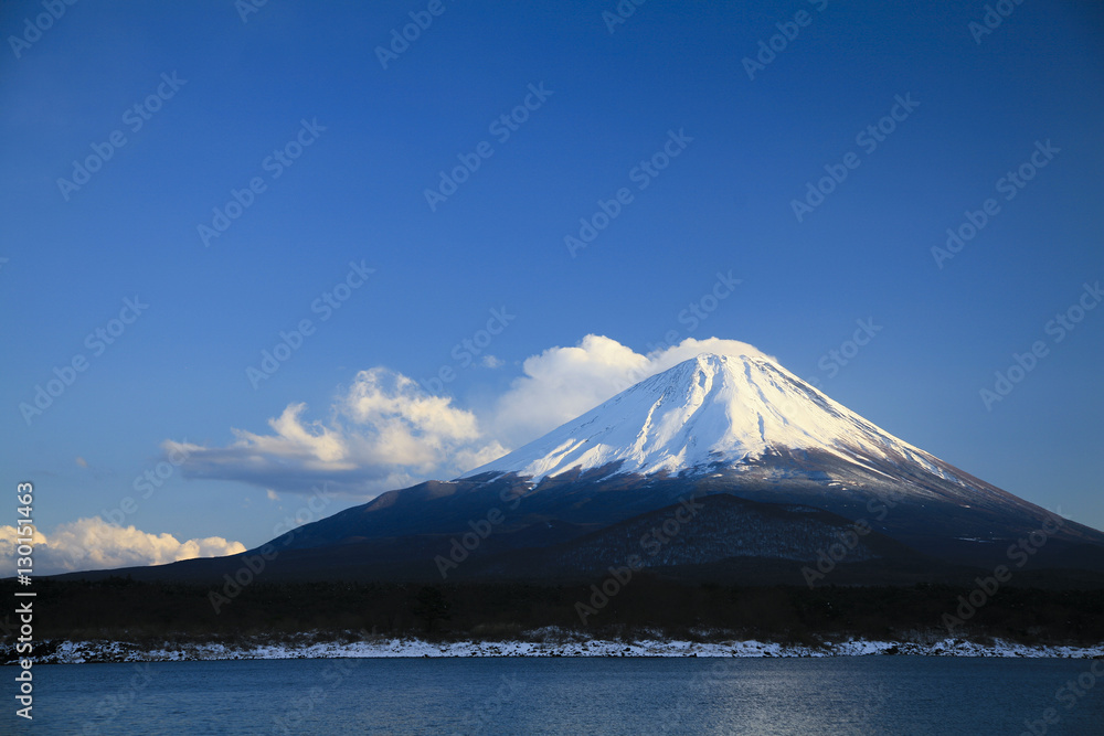 精進湖から望む富士山