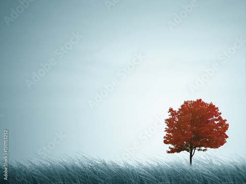 tree fog background nature grass dark natural
