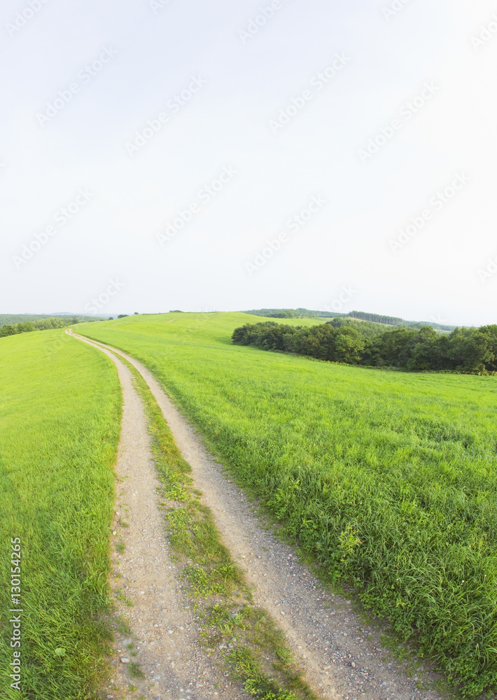 Blue sky and the path in the field