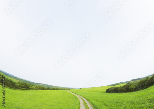 Blue sky and the path in the field
