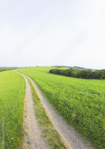 Blue sky and the path in the field