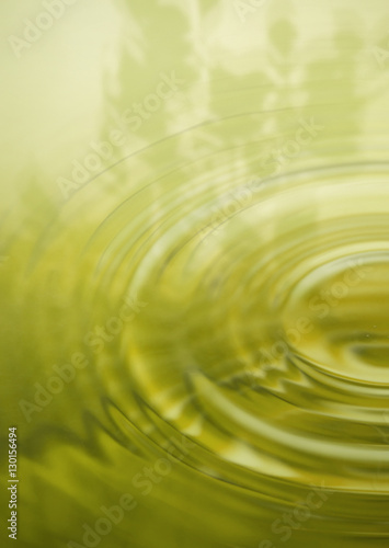 Leaves and ripples © imagenavi