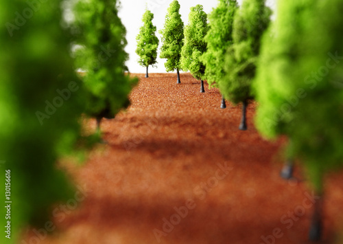 Rows of miniature trees