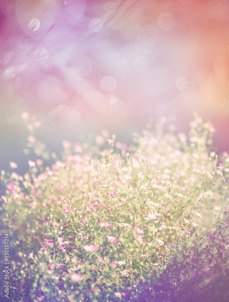 Naklejka premium Natural blurred background of pink flower on orange background.