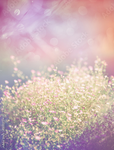 Natural blurred background of pink flower on orange background.