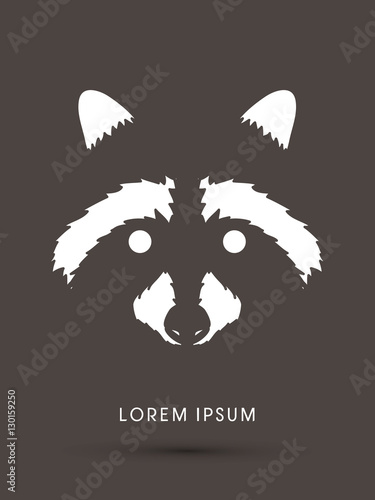 Raccoon Face graphic vector.