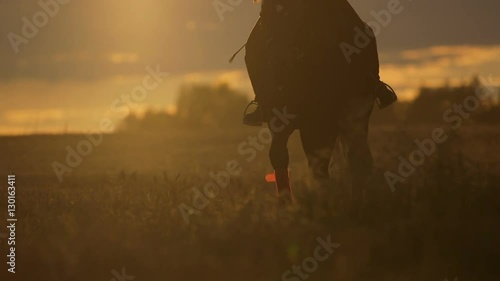 Woman riding horse on field during sunset