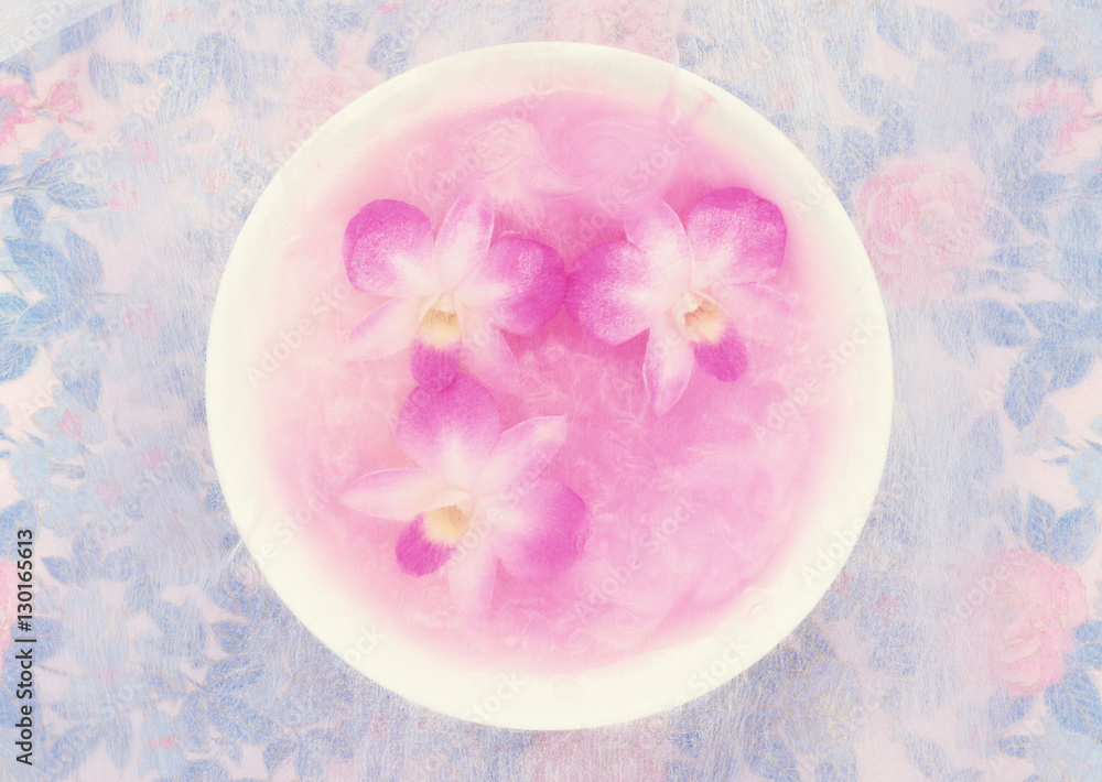 Orchid Orchid
