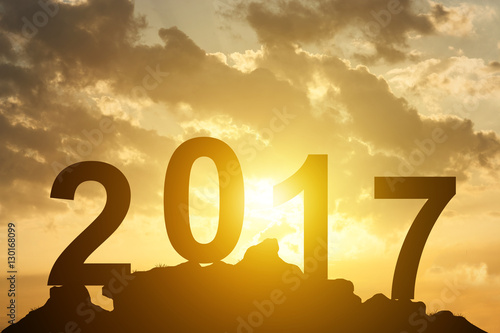 Text 2017 on peak mountain on sunset background happy new year c