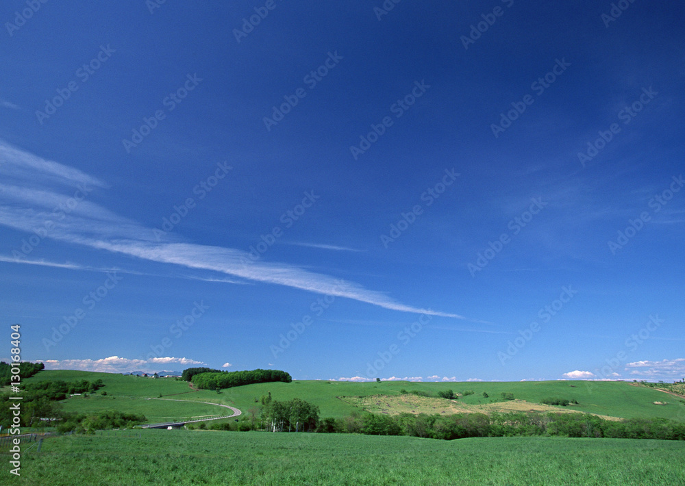 Obraz premium Pasture