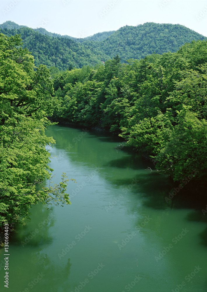 River River