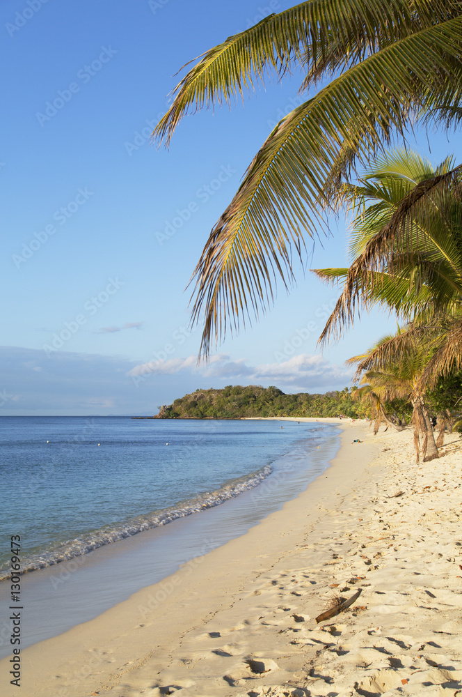 Beach on Mana Island, Mamanuca Islands, Fiji, South Pacific Beach on Mana Island, Mamanuca Islands, Fiji, South Pacific