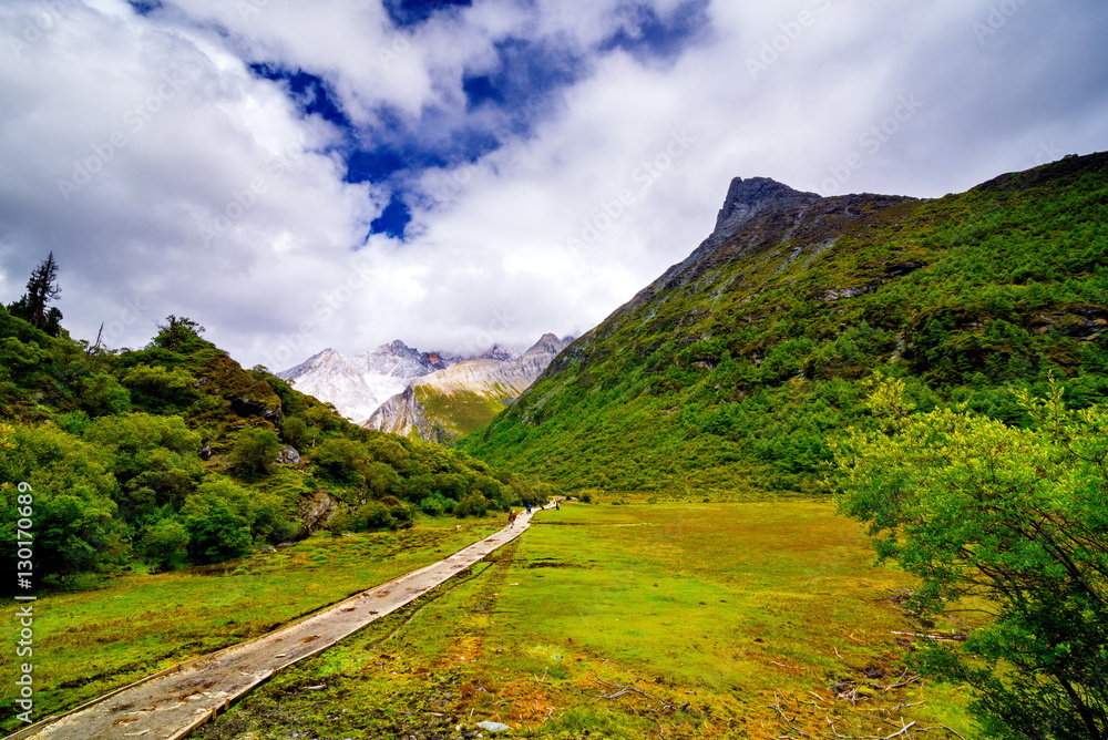 Fototapeta premium path to yading mountain, china