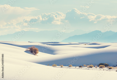 White sands