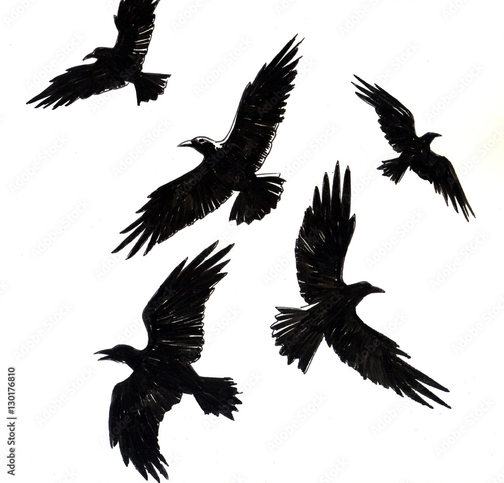 Flying Crows Flying Crows