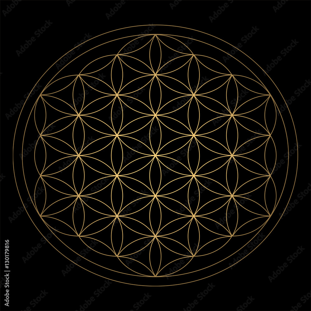 Sacred Geometry. Ancient outline gold Flower of Life symbol on a black  background. Flower with six petals. The ancient symbol of the Seed of Life.  Stock Vector | Adobe Stock