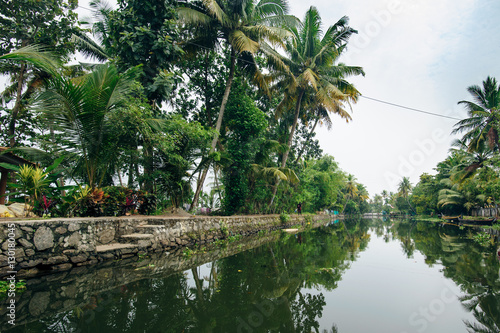 Backwaters in Alappuzha  Alleppey   Kerala state  India