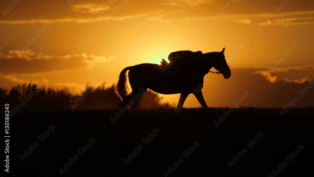Woman riding horse on field during sunset Woman riding horse on field during sunset