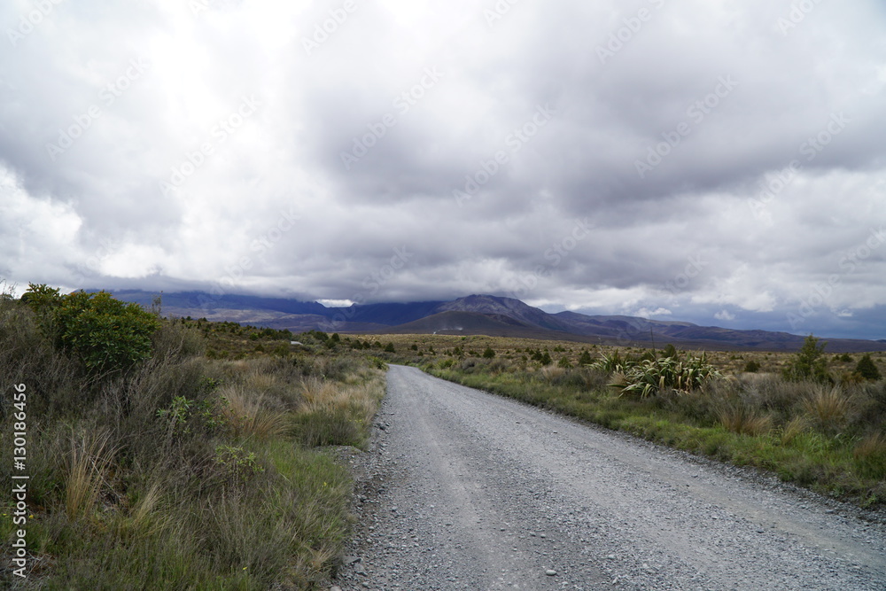 Neuseeland_Landschaft