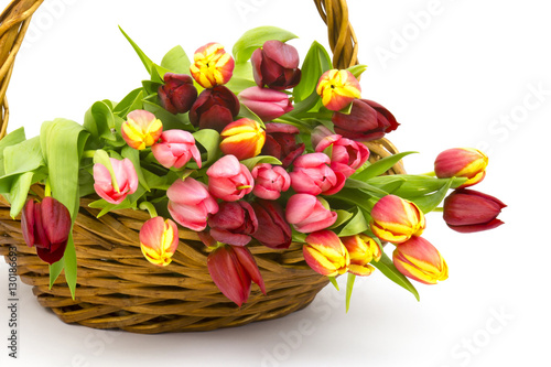 colourful tulips in a basket