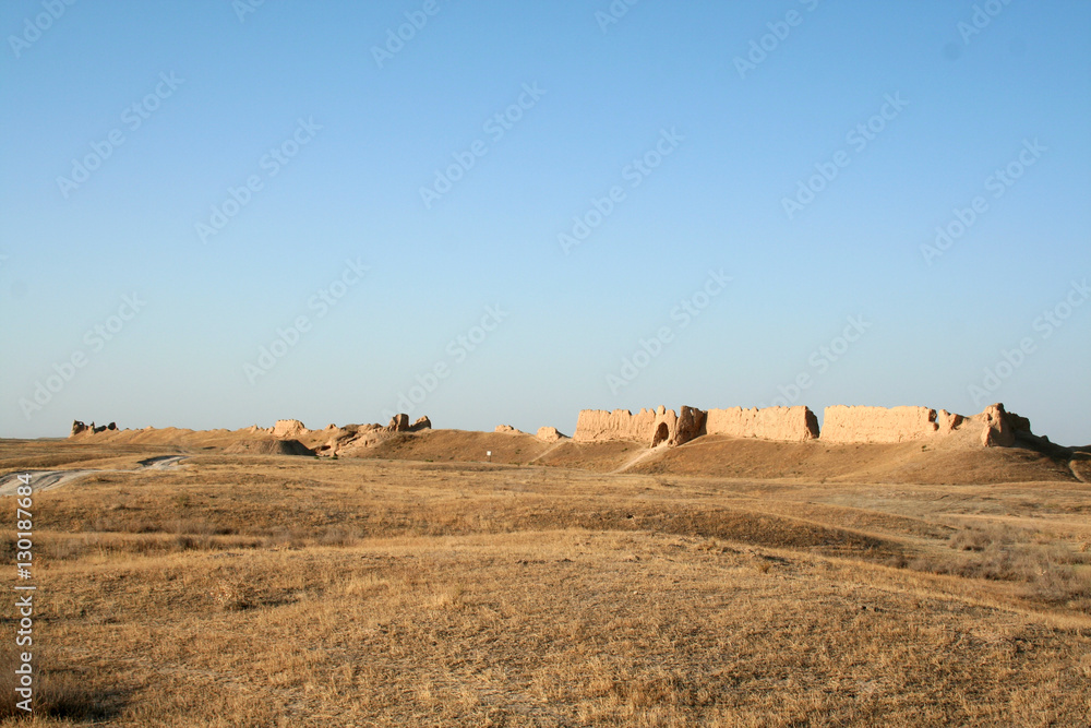 Obraz premium Sauran