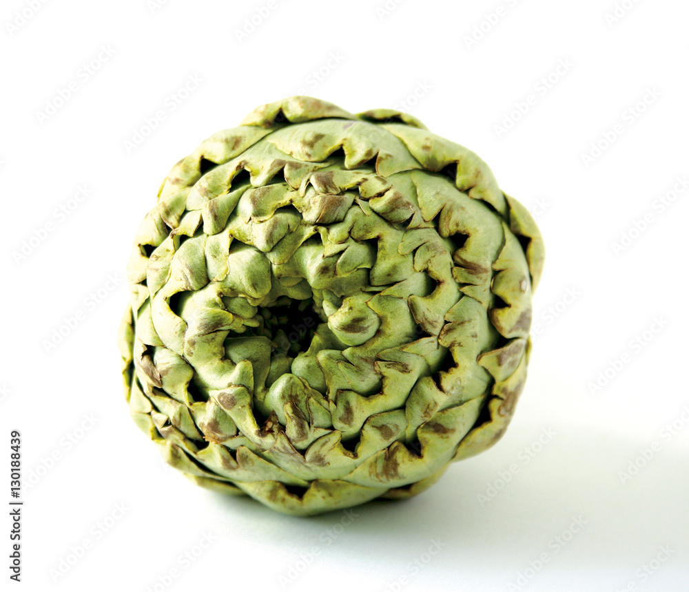 Obraz premium Artichoke seen from the front side on white