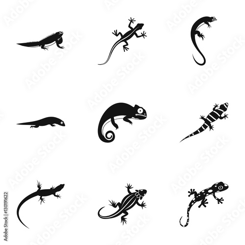 Lizard icons set. Simple illustration of 9 lizard vector icons for web