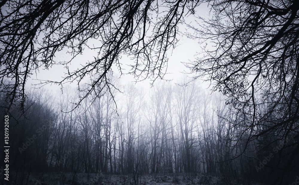 dark tree branches landscape dark tree branches landscape