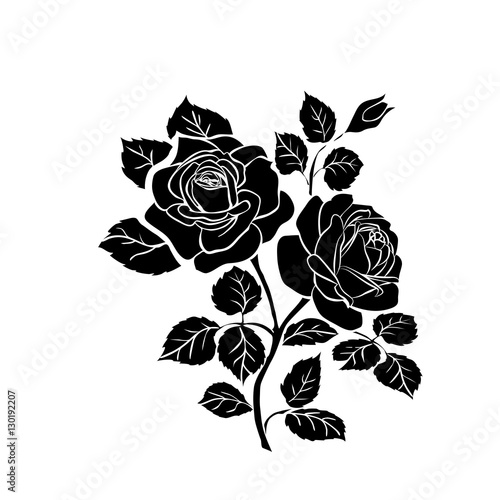 silhouette of rose