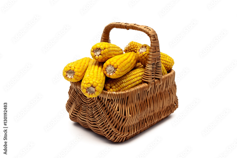ears of corn in a basket on a white background