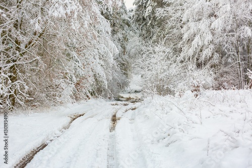 Wallpaper Mural Winter rural road with snowdrifts Torontodigital.ca