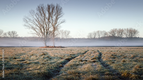 Nebeliger Sonnenaufgang in Brandenburg photo