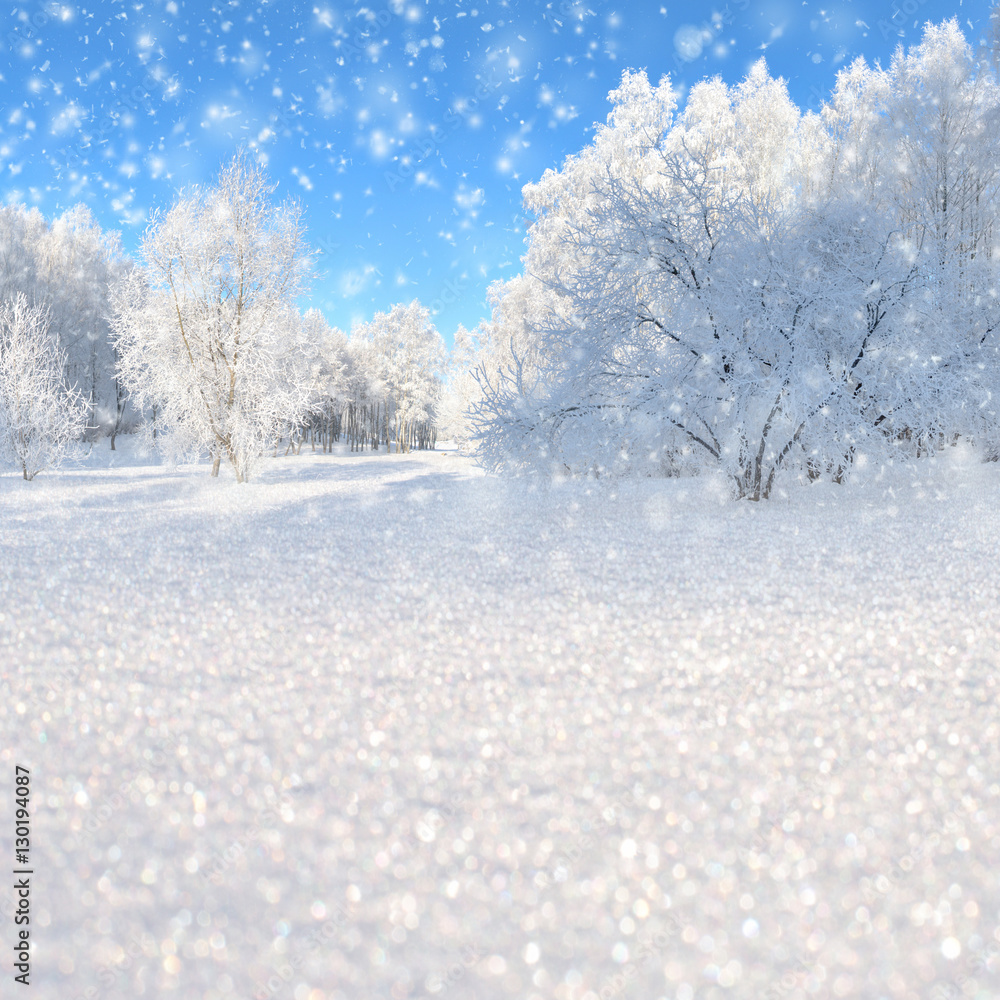 Fototapeta premium Winter landscape with snowy trees and snowflakes