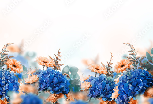 Amazing background with hydrangeas and daisies. Yellow and blue flowers on a white blank. Floral card nature. bokeh butterflies.