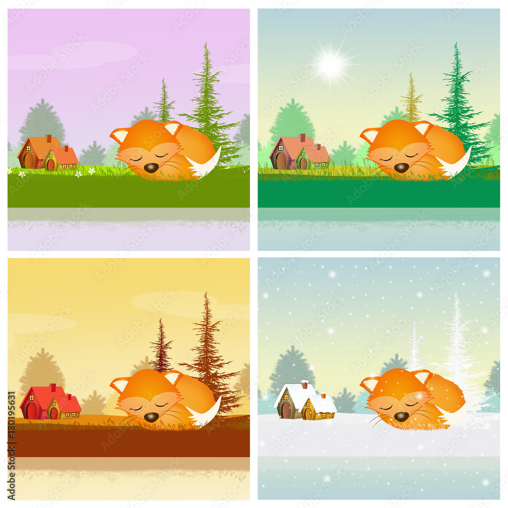 red fox in the four seasons