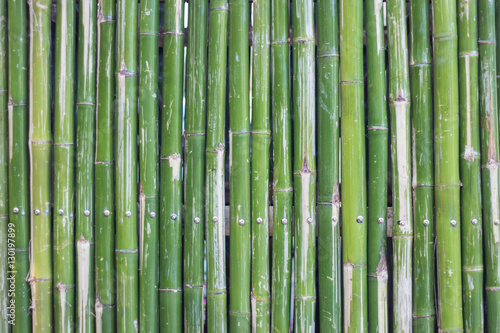 Fototapeta Naklejka Na Ścianę i Meble -  Bamboo wall textured background