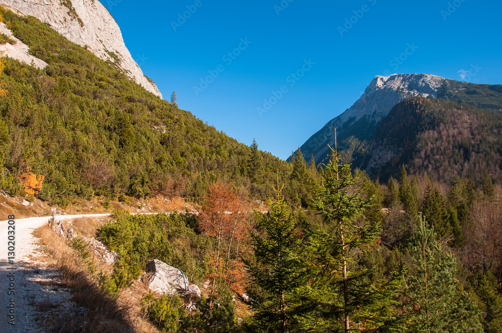 Road among mountains in park wildlife reserve Karwendel in Alps Europe Austria Road among mountains in park wildlife reserve Karwendel in Alps Europe Austria