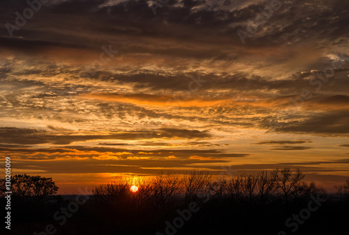 evening sky with the setting sun above tree top silhouettes