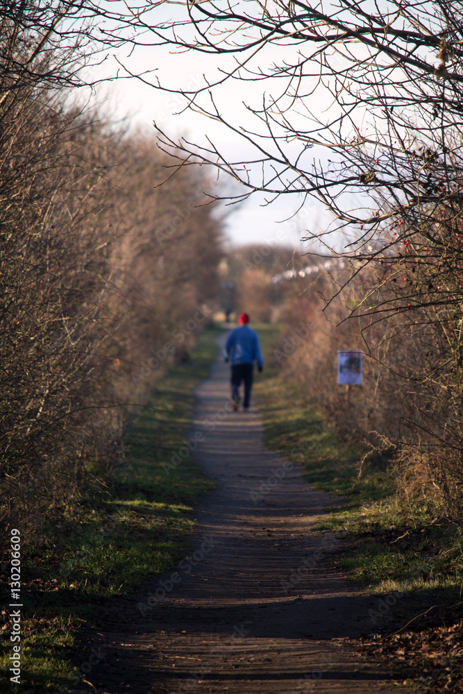 Obraz premium Early morning