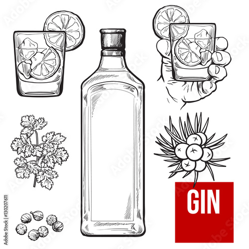 Gin bottle, shot glass with ice and lime, juniper berries, parsley, cardamom, sketch vector illustration isolated on white background. hand drawn gin bottle, shot glass and cocktail ingredients