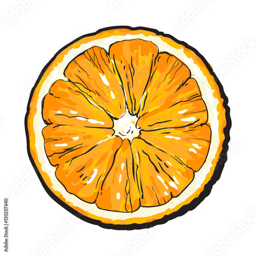 Orange cut in half, top view, sketch style vector illustration isolated on white background. Realistic colorful hand drawing of round slice of unpeeled orange