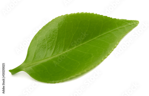 Green Tea leaf