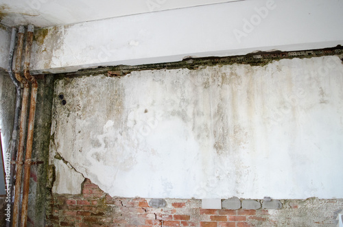 Mold in the old wall 