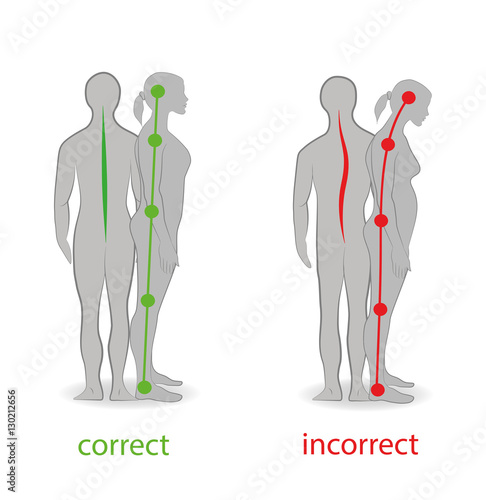 Correct alignment of human body in standing posture for good personality and healthy of spine and bone. Health care and medical illustration