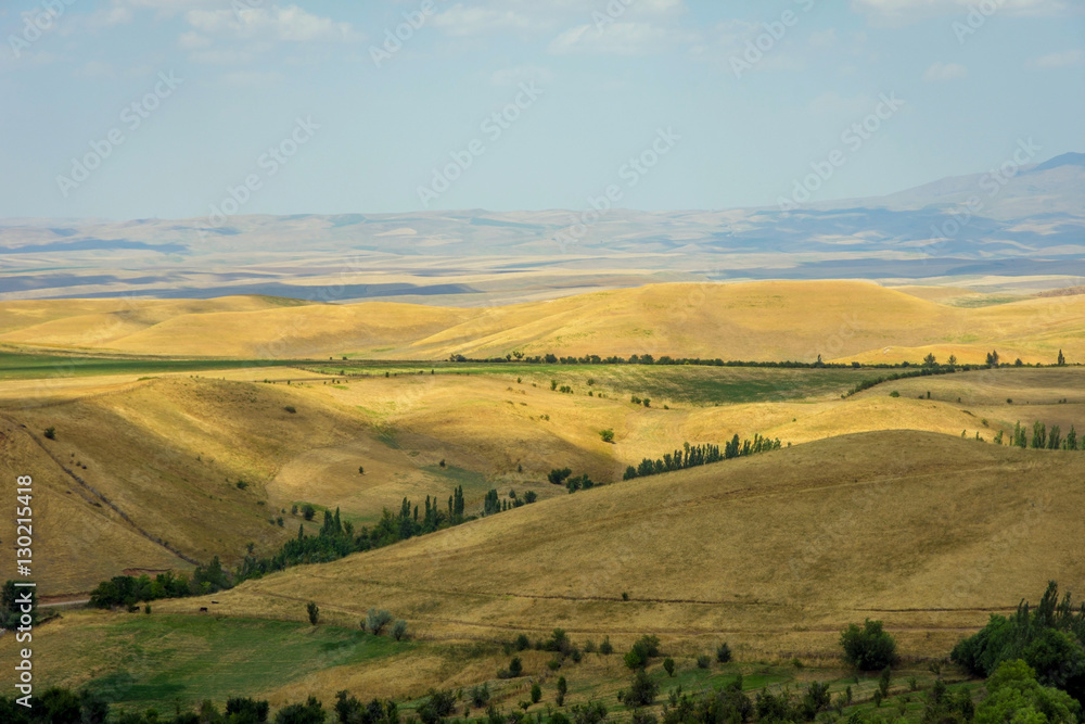 Endless kazakh grassland steppe landscape