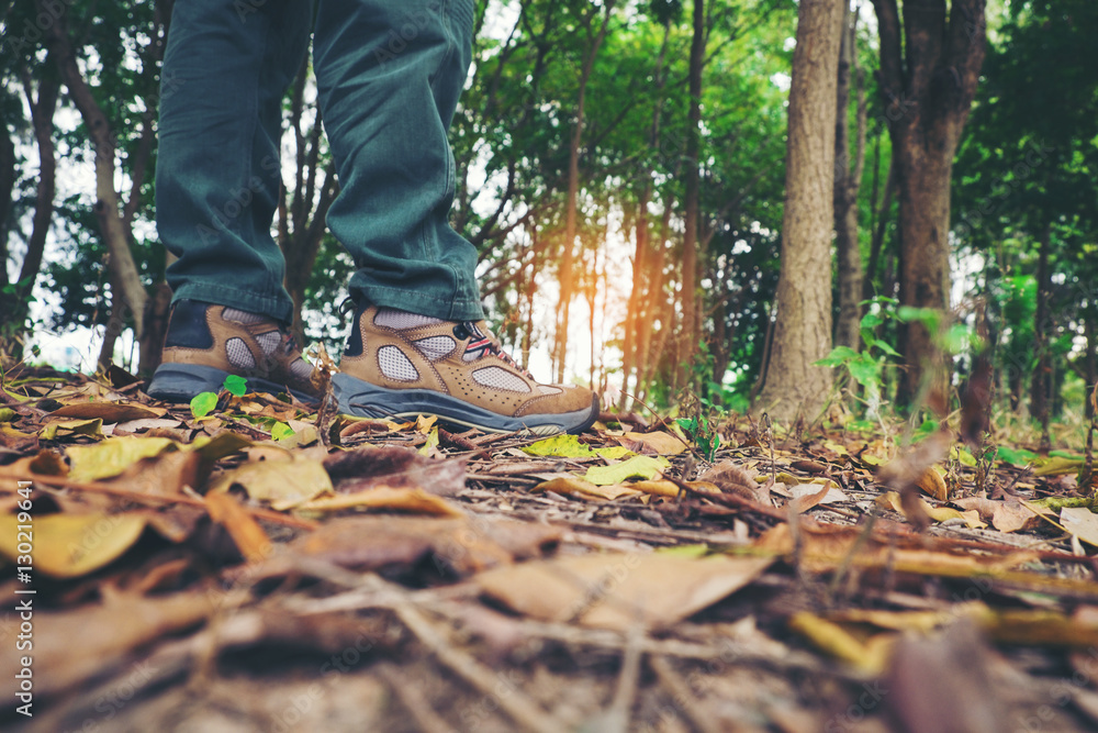 Fototapeta premium Hikers boots on forest trail