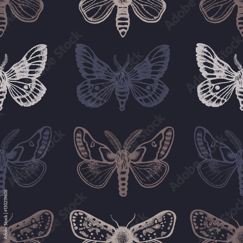 Seamless pattern with moths. Hand drawn. Vector illustration.