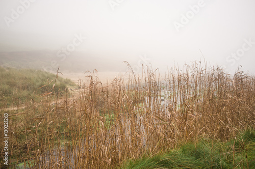 Poldhu Cove in  mist